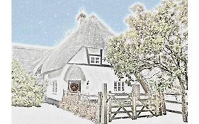 Delightful 3Bed Thatched Cottage