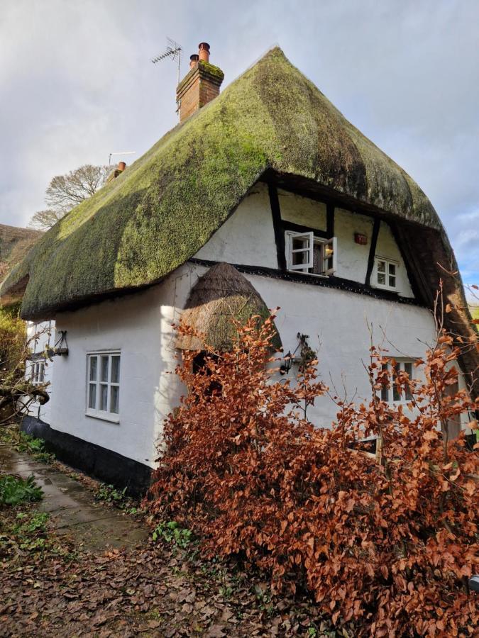 Delightful 3Bed Thatched Cottage Stockbridge  Exterior photo